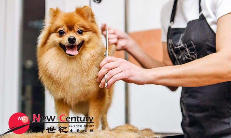 Pet Grooming --gardenvale -- 1p10832 Pet Grooming --gardenvale -- 1p10832