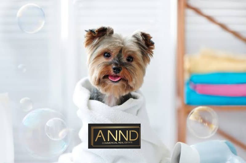 Thriving Pet Grooming Business for Sale in Newcastle, NSW|Rent Only $300+gst/wk Thriving Pet Grooming Business for Sale in Newcastle, NSW|Rent Only $300+gst/wk