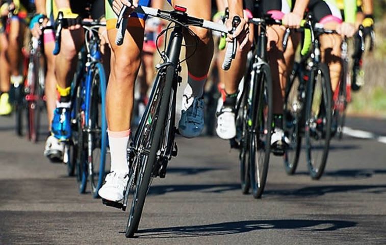 Bicycle Sales, Service & Hire Centre Bicycle Sales, Service & Hire Centre