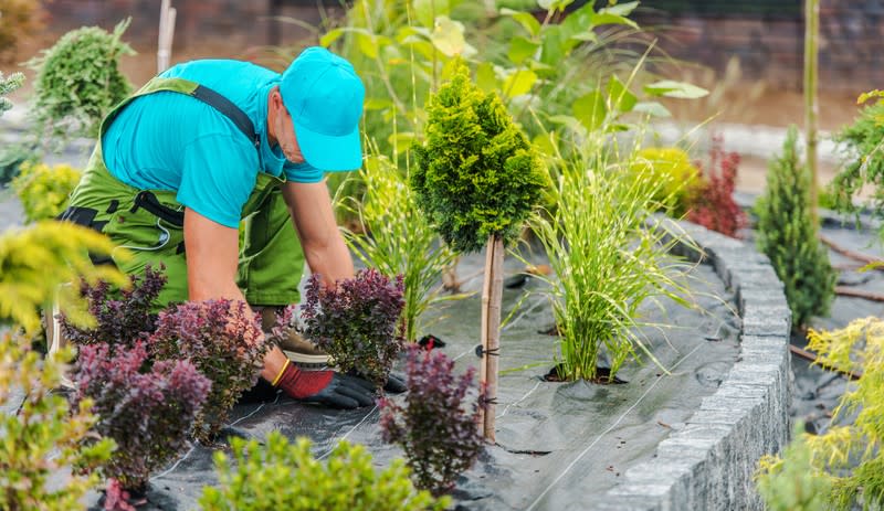 Outdoor & Garden Supplies Business Near Berwick | 10 Year Lease | $499K + SAV + Fleet [2507083]