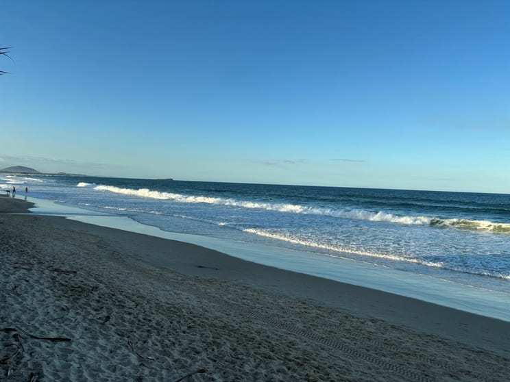 Mixed Management Rights for Sale in Surfers Paradise with 2.00 Multiplier - ID 9167 Mixed Management Rights for Sale in Surfers Paradise with 2.00 Multiplier - ID 9167