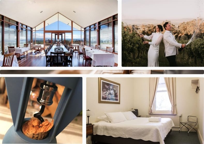 Premier Function Centre & Freehold Vineyard for Sale in Gippsland Premier Function Centre & Freehold Vineyard for Sale in Gippsland