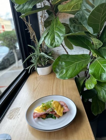 Licensed Cafe --hawthorn--1p9865