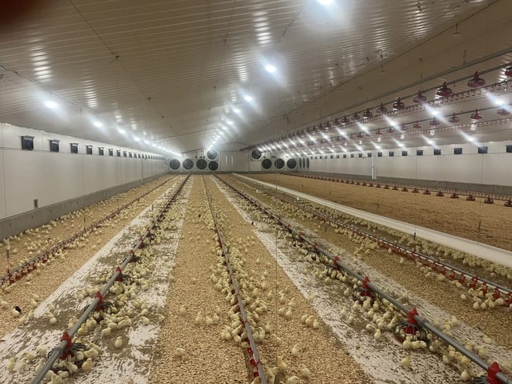 Thriving Agritech Business with Global Reach and Proven Success Thriving Agritech Business with Global Reach and Proven Success