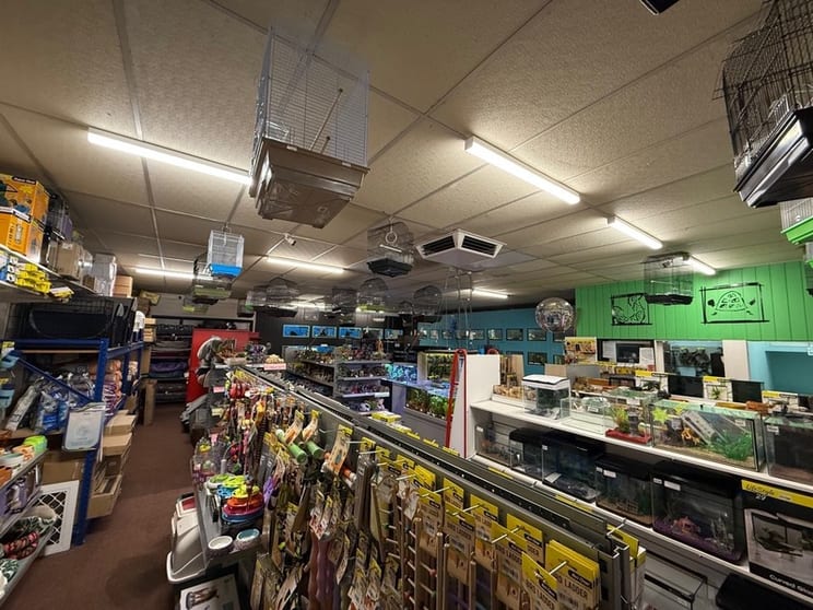 Retail Pet Supplies Business Tamworth, NSW Retail Pet Supplies Business Tamworth, NSW