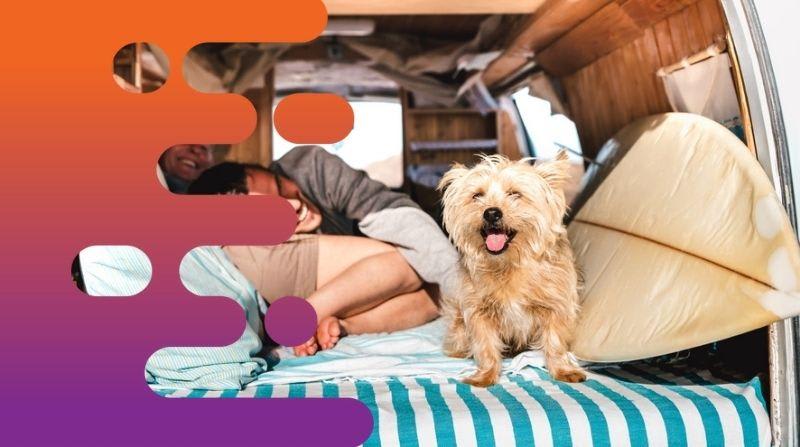 35537 Profitable Campervan & Car Rental Business - Ready for New Ownership 35537 Profitable Campervan & Car Rental Business - Ready for New Ownership