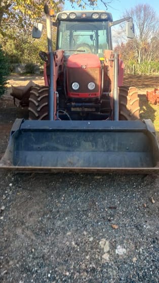 HAZELBROOK FARM NURSERY - Clearing Sale, Saturday 14th June 2025 - 10am HAZELBROOK FARM NURSERY - Clearing Sale, Saturday 14th June 2025 - 10am