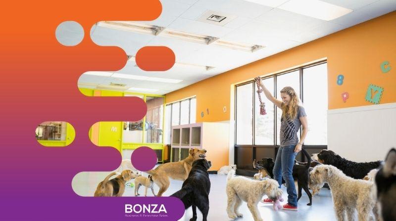 35643 Established Dog Grooming & Daycare Business - Growth Potential 35643 Established Dog Grooming & Daycare Business - Growth Potential