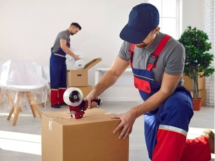 Highly Profitable Removalist Est. 50 yrs Highly Profitable Removalist Est. 50 yrs