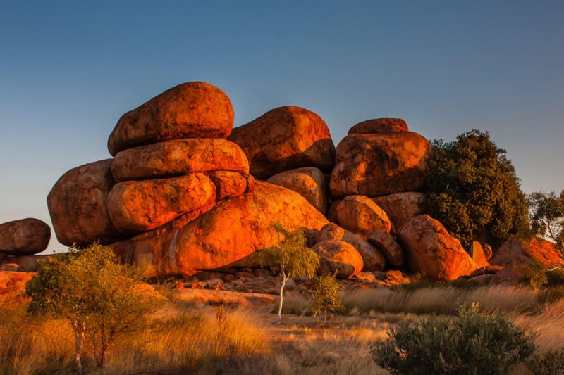 Premier Central Australia Tour Business in Australia's Red Heart Premier Central Australia Tour Business in Australia's Red Heart