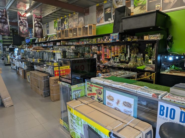 Reptile and Hydroponic Shop First and Only in WA Est. 2003 East Rockingham, WA Reptile and Hydroponic Shop First and Only in WA Est. 2003 East Rockingham, WA
