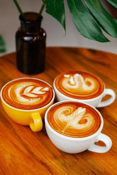 kids Playground & café in Miranda for sale|impressive income | Start operating immediately kids Playground & café in Miranda for sale|impressive income | Start operating immediately