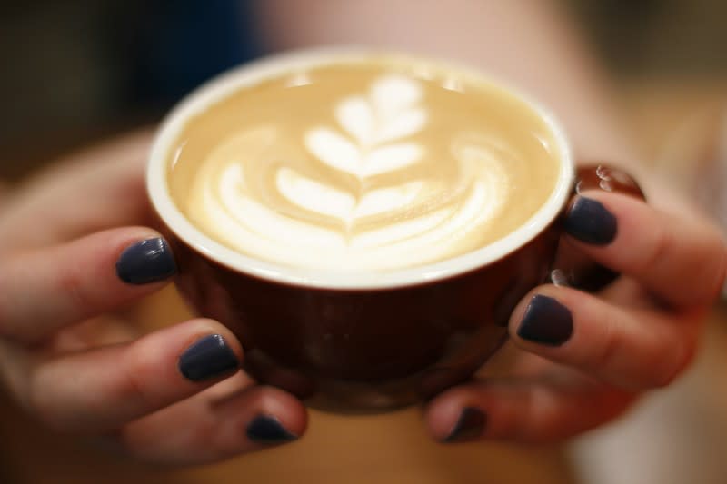 Port Douglas Business for Sale | Lifestyle & Investment Opportunity Port Douglas Business for Sale | Lifestyle & Investment Opportunity