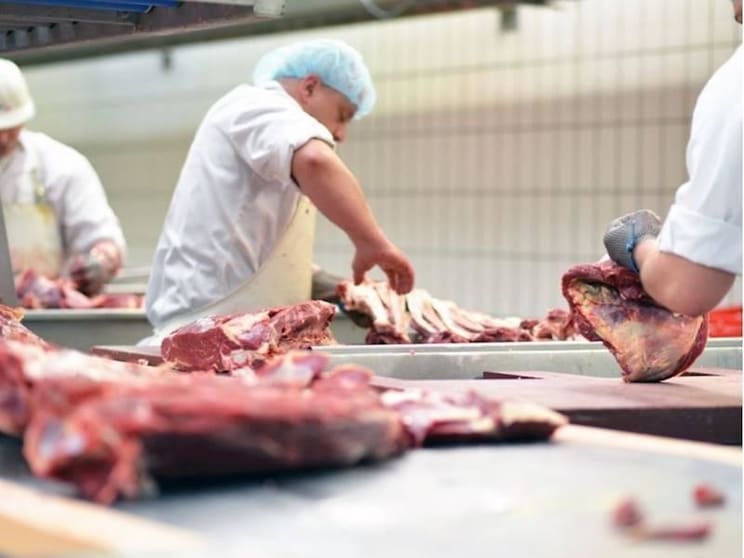 Profitable Coastal Butchery - Turnkey Cash-Cow Buy Profitable Coastal Butchery - Turnkey Cash-Cow Buy