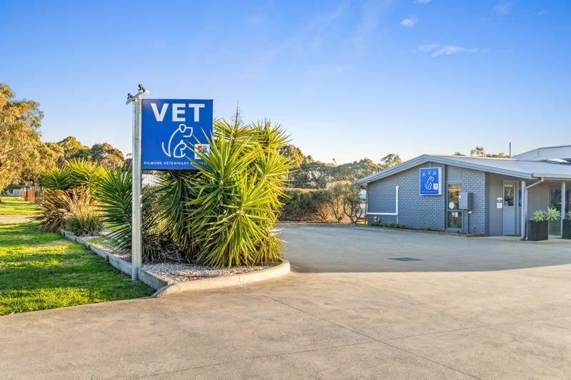 Longstanding Small Animal Veterinary Practice with Loyal Clientele & Modern Facilities Longstanding Small Animal Veterinary Practice with Loyal Clientele & Modern Facilities