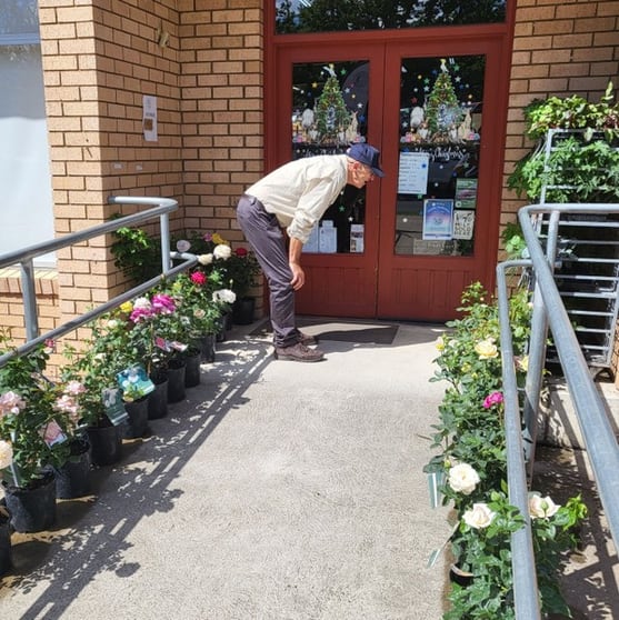 Moontree Health & Organic Supermarket Long-Established Cooma Icon Moontree Health & Organic Supermarket Long-Established Cooma Icon
