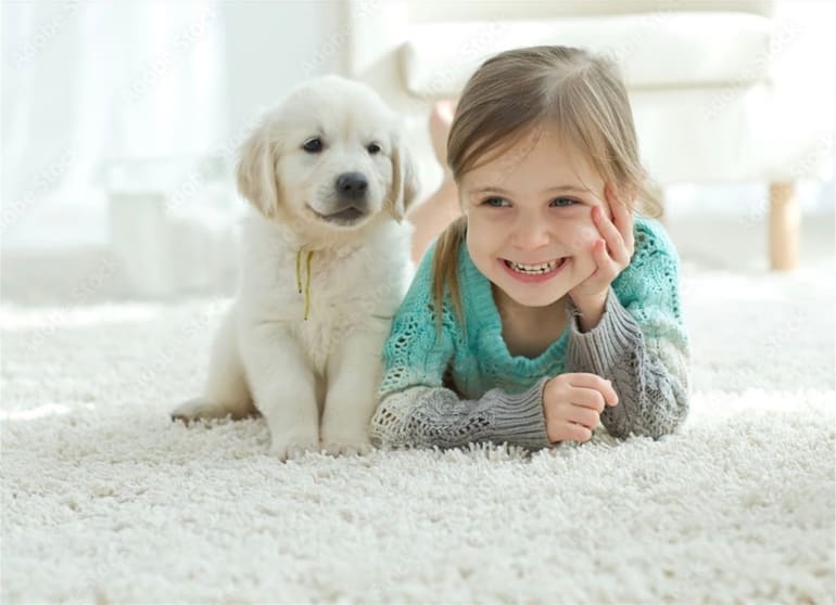 Established Flooring and Window Furnishings BusinessMackay Established Flooring and Window Furnishings BusinessMackay