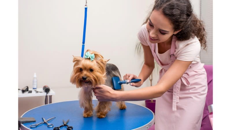 Ref: 238 Pet Grooming Salon Sutherland Shire - Semi-Managed, High-Profit, New 3+3 Year Lease