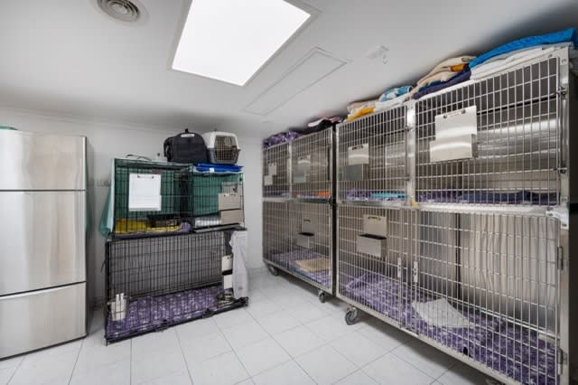HIGHlands Veterinary Hospital Southern Highlands NSW HIGHlands Veterinary Hospital Southern Highlands NSW