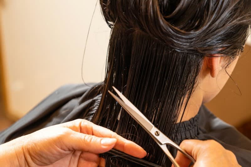 Established Hair, Beauty & Spa Salon Prime Eltham Location Established Hair, Beauty & Spa Salon Prime Eltham Location