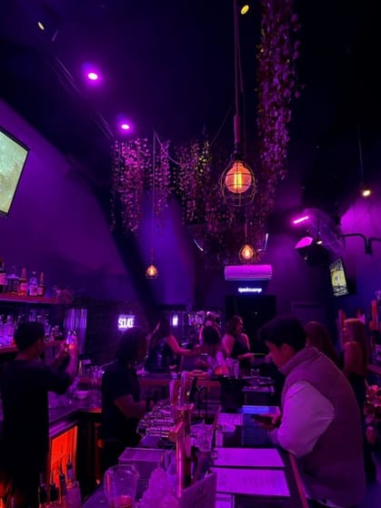 WIWO Cocktail Bar situated on the iconic Chapel Street + Mobile Bars Business