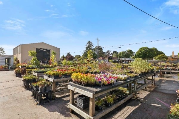 Multiflora Nursery - Colac (IWR2646)
