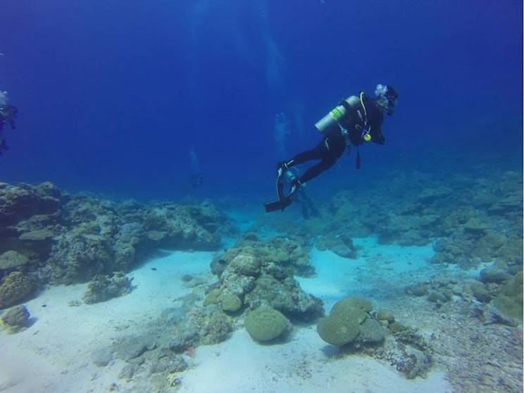 Premium Dive Tourism Business for Sale