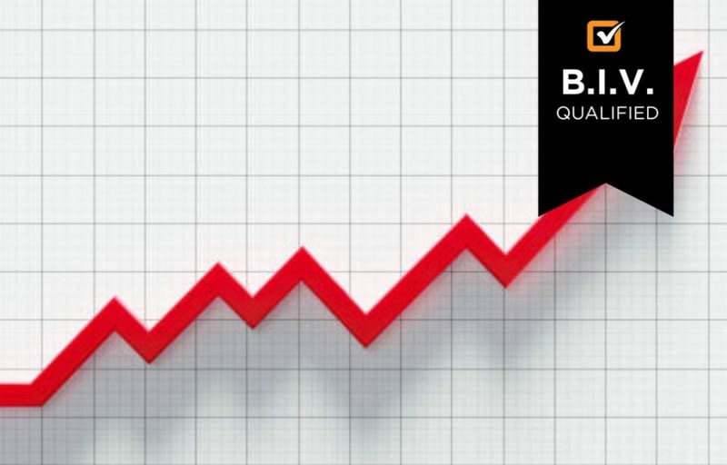 Specialist Infrastructure Services - $600k EBIT - NZ Specialist Infrastructure Services - $600k EBIT - NZ