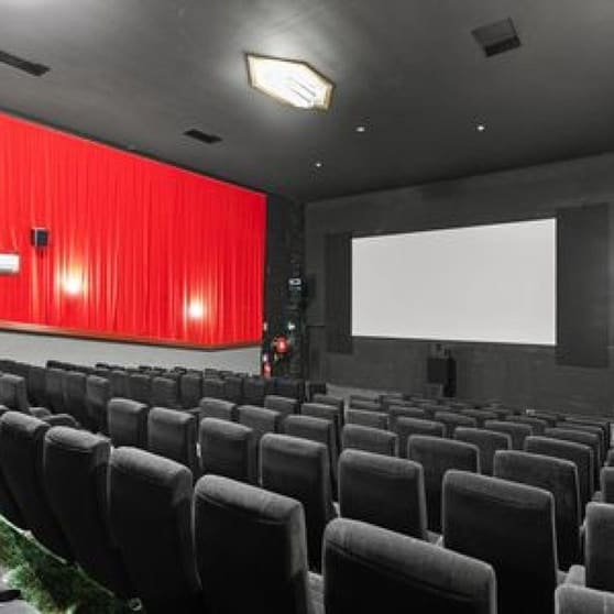 Cinema for Sale - in Kyogle, NSW - Strong Turnover of $500K - Fully Equipped - Property Included - Loyal Customer Base