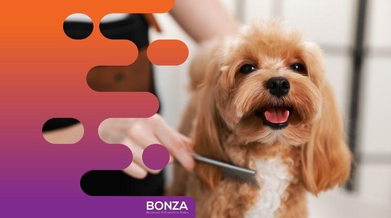 36635 Profitable Mobile Dog Grooming Business - Open To Offers 36635 Profitable Mobile Dog Grooming Business - Open To Offers