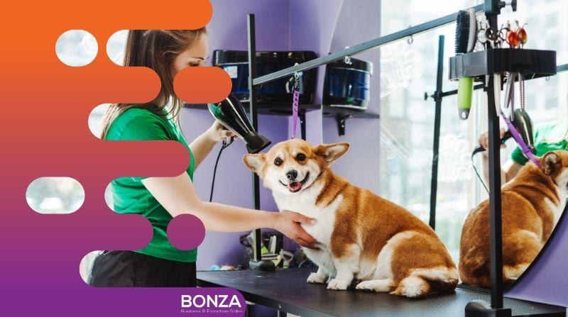 36635 Profitable Mobile Dog Grooming Business - Open To Offers 36635 Profitable Mobile Dog Grooming Business - Open To Offers