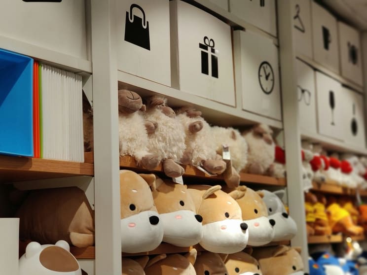 Rosebery Toy Store for Sale Rosebery Toy Store for Sale