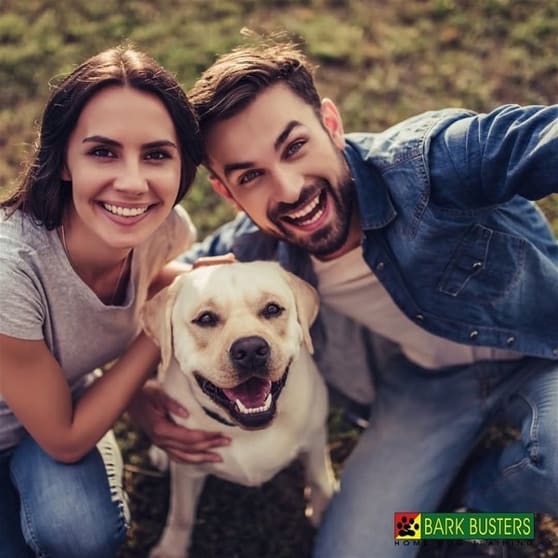Bark Busters Dog Training Franchise Bark Busters Dog Training Franchise