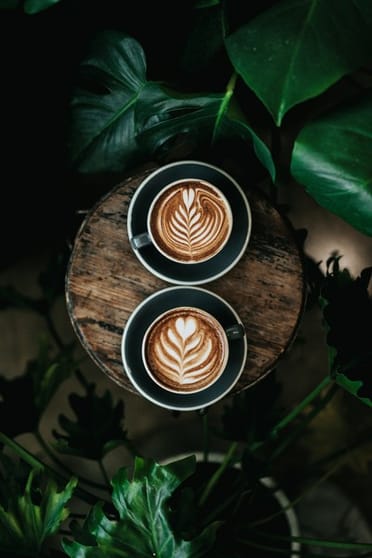 North Ryde Cafe for Sale