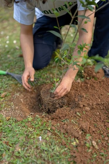 Established Environmental & Forestry Services Provider Established Environmental & Forestry Services Provider