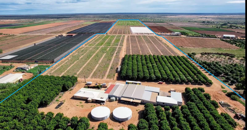 Horticulture Business & 58 Acre Asset | $1.5M+ Capability | Walk-In Walk-Out Horticulture Business & 58 Acre Asset | $1.5M+ Capability | Walk-In Walk-Out