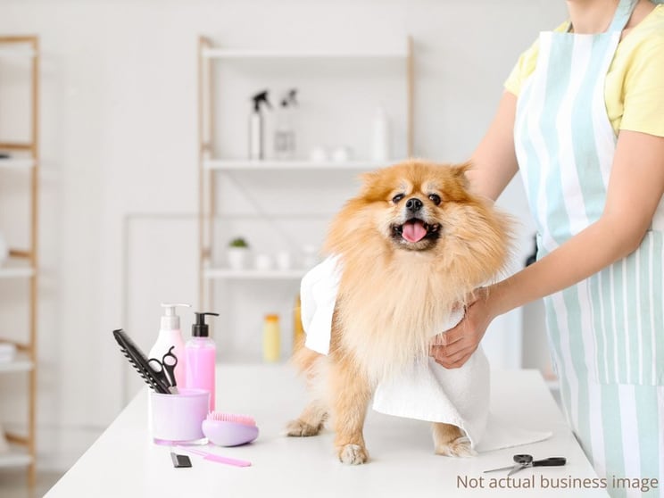 UNDER OFFER - Pet Grooming and Dog Day Care Business and Property  Brisbane
