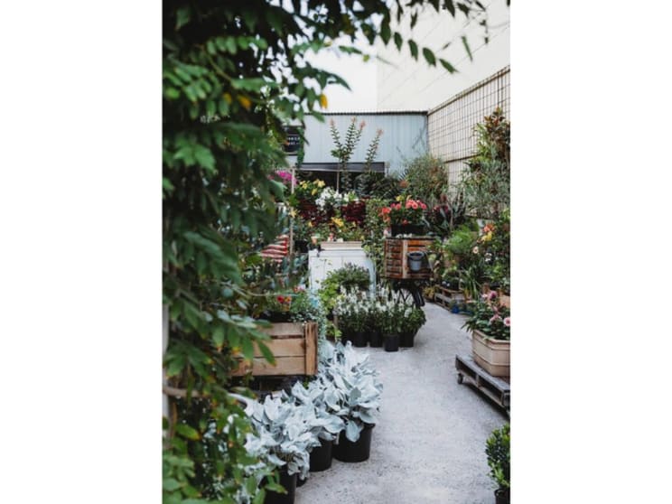 Boutique Plant / Garden Nursery & Giftware Store Creative Lifestyle Business | Sydney Boutique Plant / Garden Nursery & Giftware Store Creative Lifestyle Business | Sydney