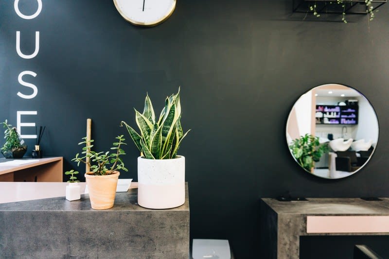 Modern Beauty Salon for Sale  High Foot Traffic Shopping Centre Location [2605072]