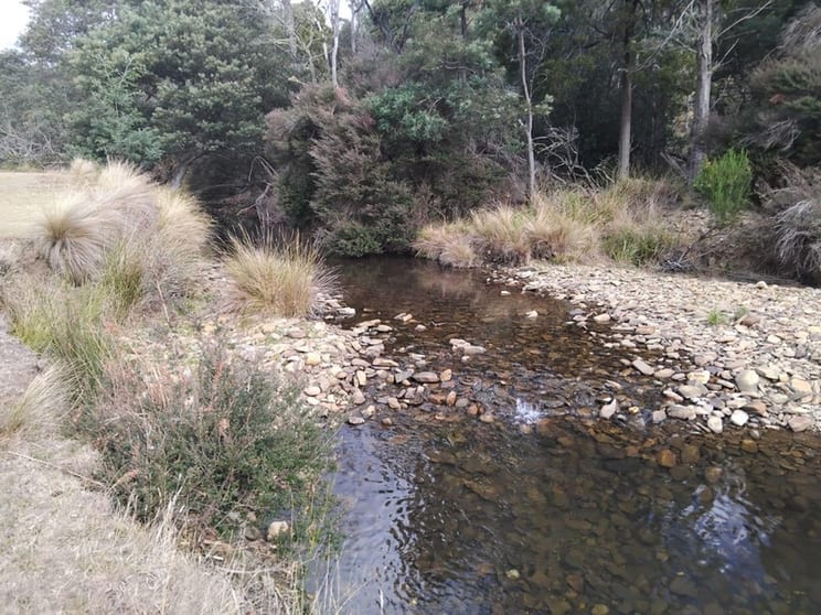 Rare Secluded Private Retreat Tyne River Alternative Life Style Self Sufficiency 5Star Home $850K Rare Secluded Private Retreat Tyne River Alternative Life Style Self Sufficiency 5Star Home $850K