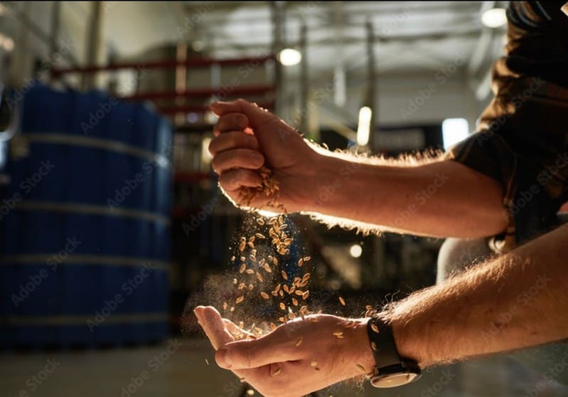 Home Brewing Retail Business  Brisbane Northside - WIWO