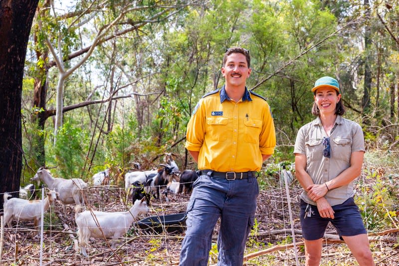 Profitable Eco Vegetation Management Business, Northern NSW Profitable Eco Vegetation Management Business, Northern NSW
