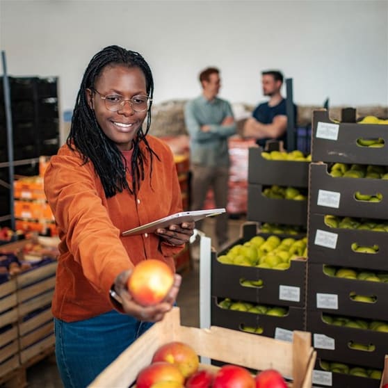 Wholesale Fruit & Veg Distribution Business Wholesale Fruit & Veg Distribution Business
