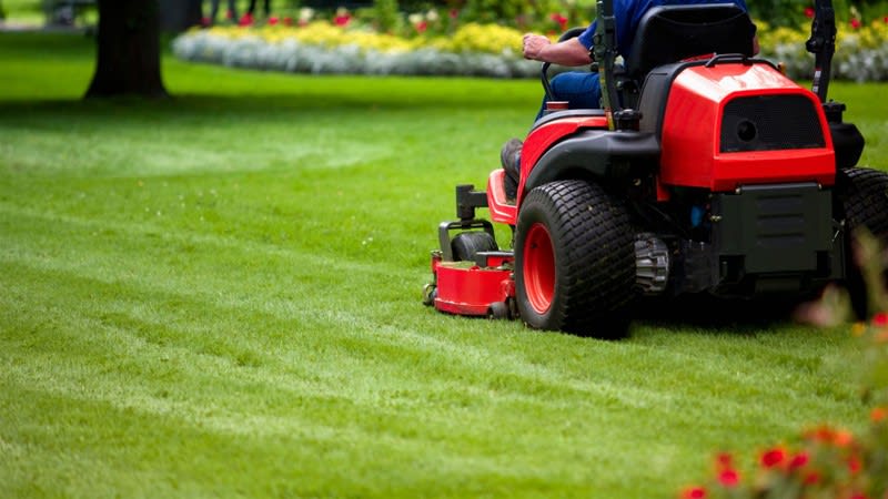 Longstanding Lawn Mowing & Gardening Business, Stable Income Longstanding Lawn Mowing & Gardening Business, Stable Income