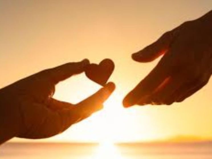 Premium Disability Support Business Established, Profitable & Ready for Growth Premium Disability Support Business Established, Profitable & Ready for Growth