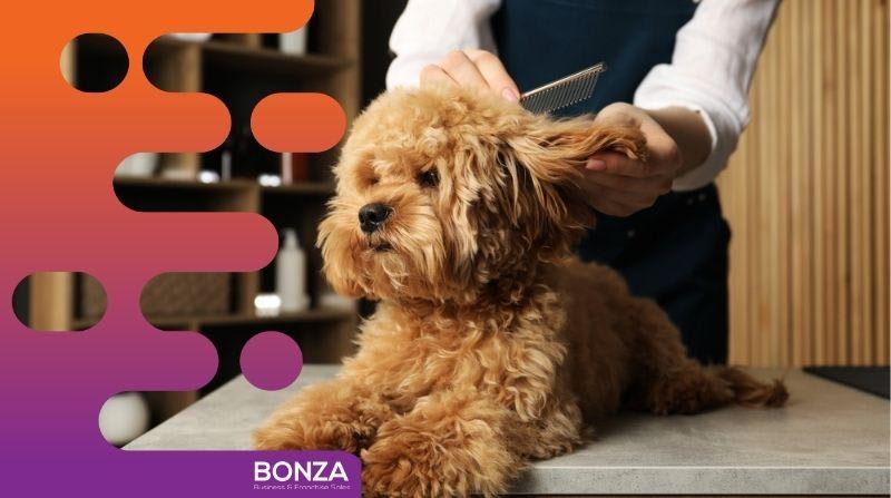 36834 - Dog Grooming, Daycare and Retail Space 36834 - Dog Grooming, Daycare and Retail Space