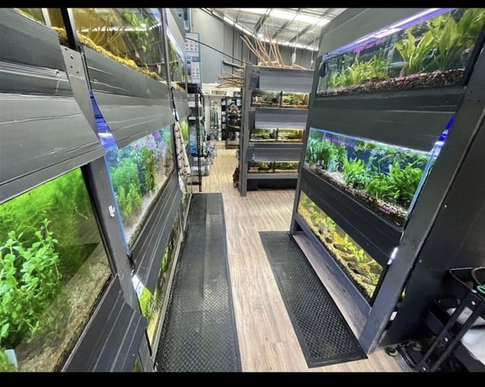 Established Aquarium & Pet Retail Business Strong Profits Established Aquarium & Pet Retail Business Strong Profits