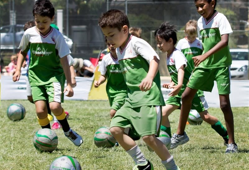 Grasshopper Soccer - Recurring Revenue Grasshopper Soccer - Recurring Revenue