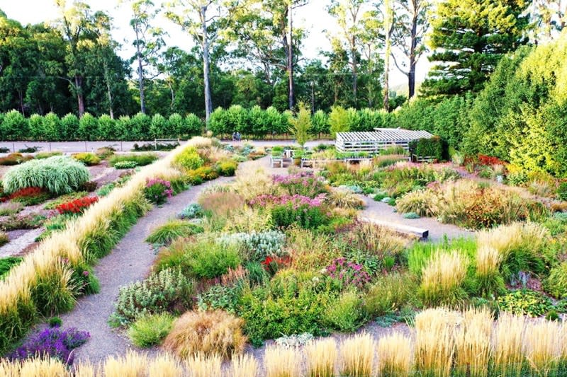 Wholesale & Retail Nursery | Established Perennials Nursery Opportunity | VIC Wholesale & Retail Nursery | Established Perennials Nursery Opportunity | VIC