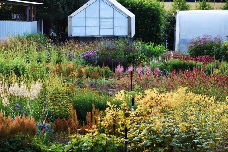 Wholesale & Retail Nursery | Established Perennials Nursery Opportunity | VIC Wholesale & Retail Nursery | Established Perennials Nursery Opportunity | VIC
